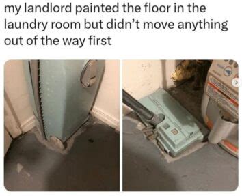 40 Hilarious Memes Every Renter Will Appreciate。